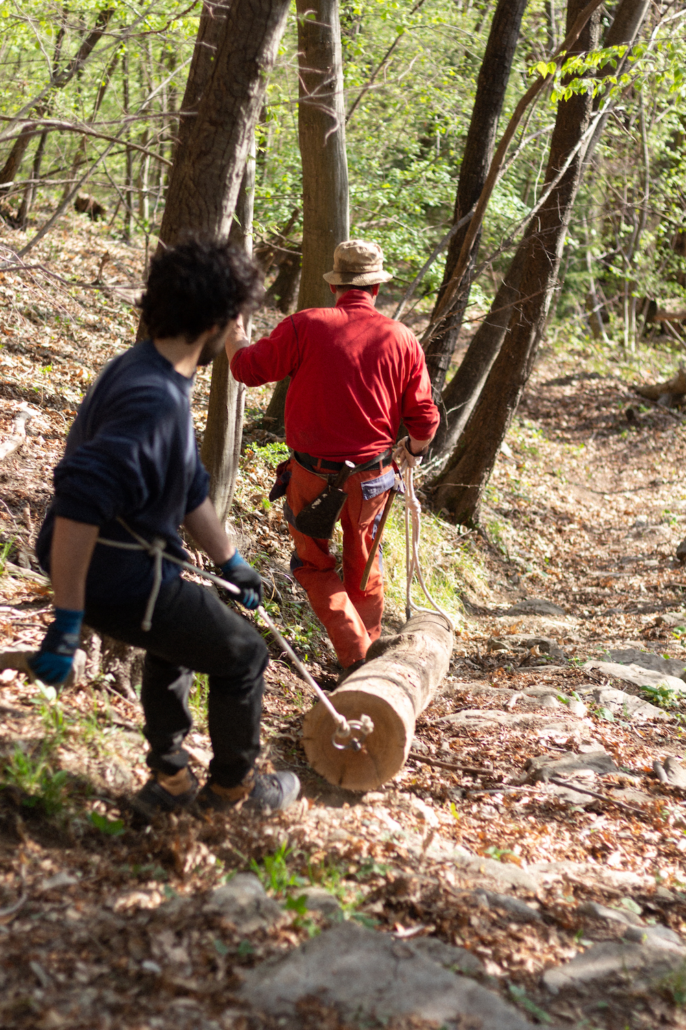 Photo by Antônio Frederico Lasalvia